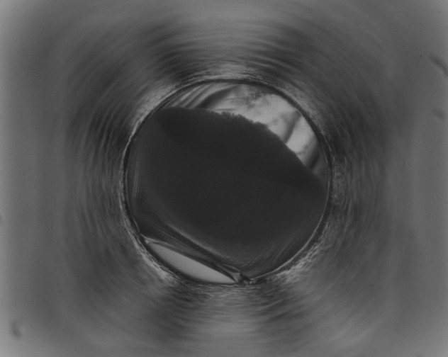 X0000097800850200803281033