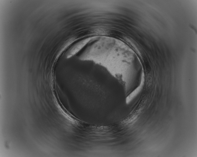 X0000097800851200803281033