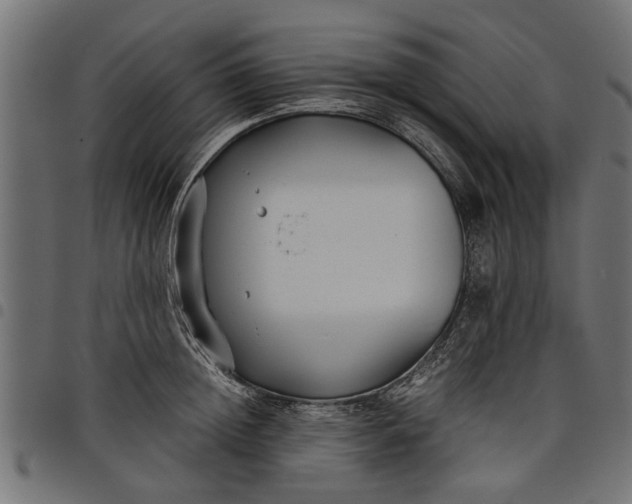 X0000097800852200803281033