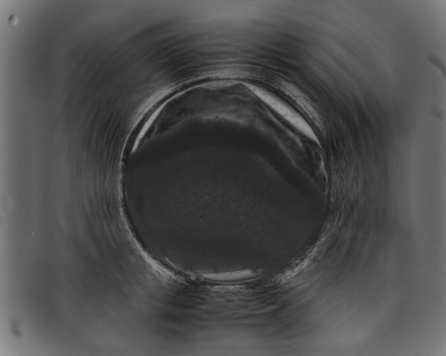 X0000097800853200803281033