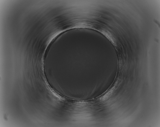 X0000097800854200803281033