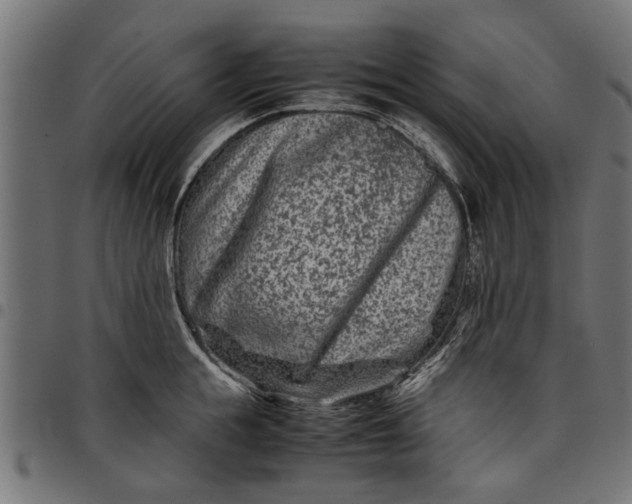 X0000097800855200803281033