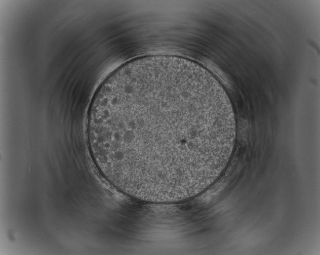 X0000097800856200803281033