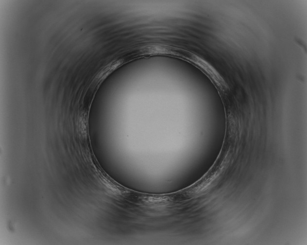 X0000097800857200803281033