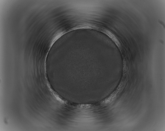 X0000097800858200803281033