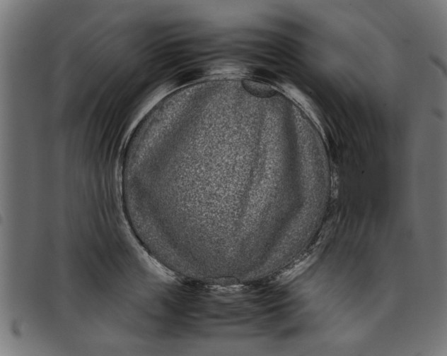 X0000097800859200803281033