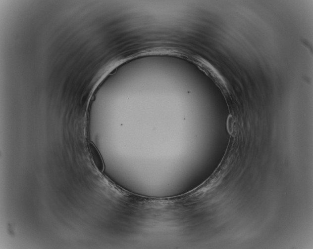 X0000097800860200803281033