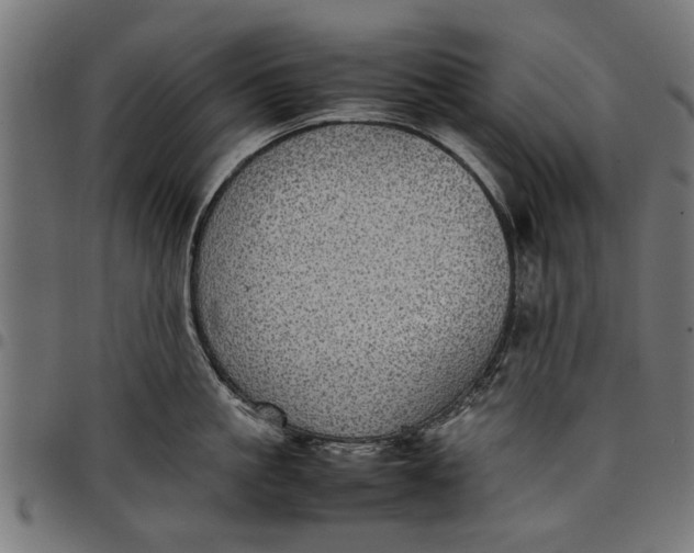 X0000097800861200803281033