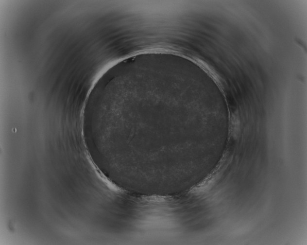 X0000097800862200803281033