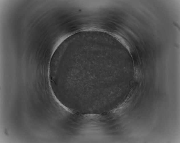 X0000097800863200803281033