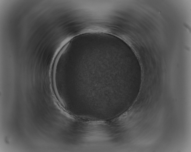 X0000097800864200803281033