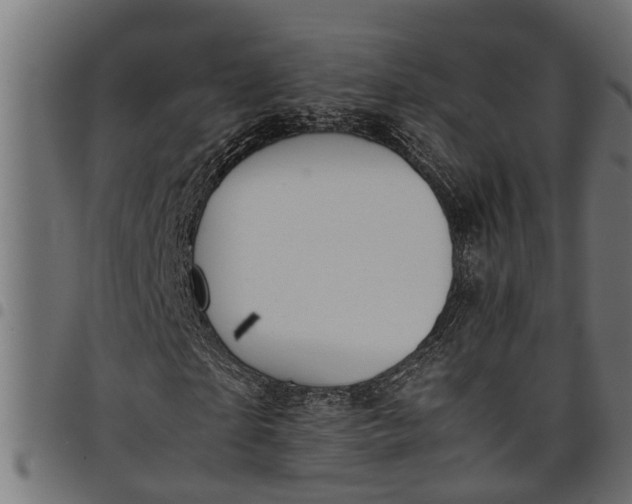 X0000097800865200803281033