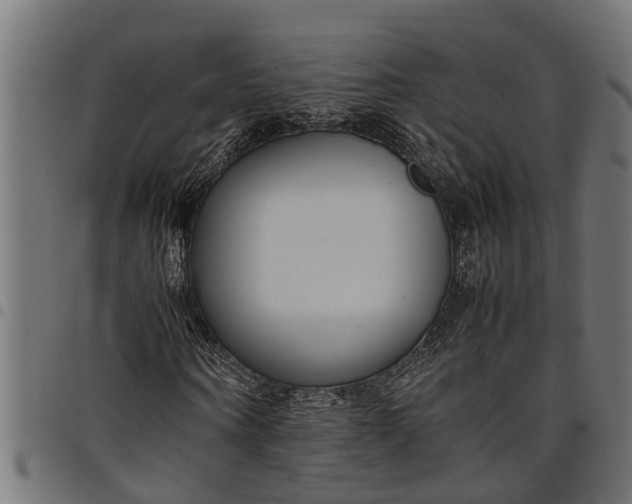 X0000097800866200803281033