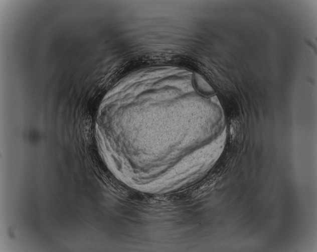 X0000097800867200803281033