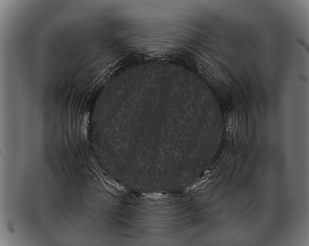 X0000097800868200803281033