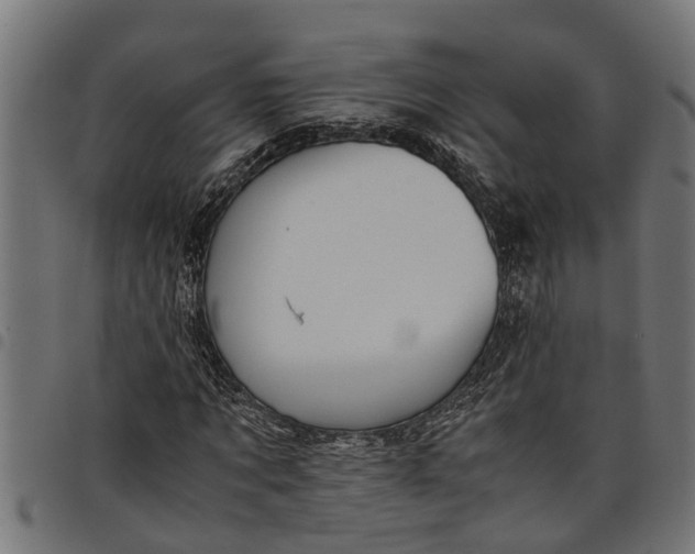 X0000097800869200803281033