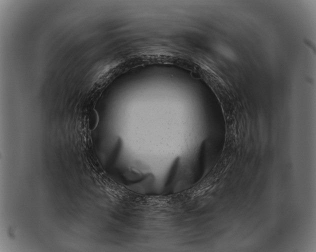 X0000097800870200803281033