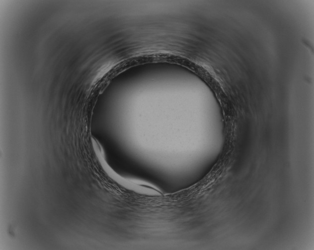 X0000097800871200803281033