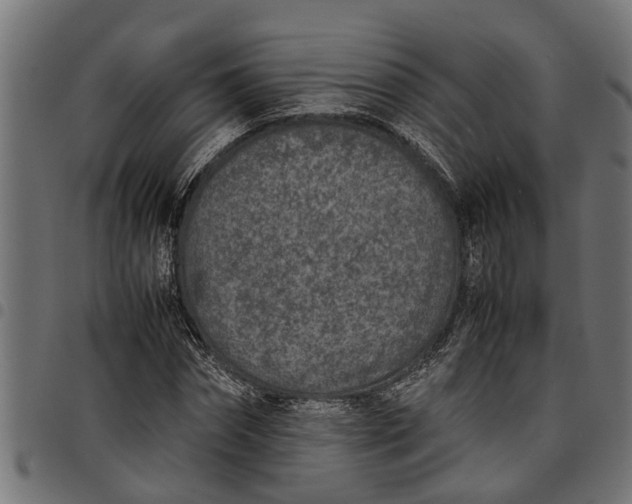 X0000097800874200803281033