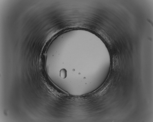 X0000097800876200803281033