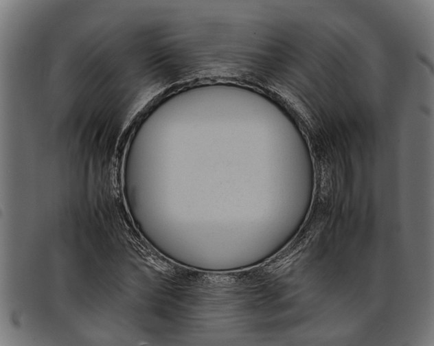 X0000097800878200803281033