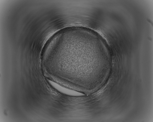 X0000097800879200803281033