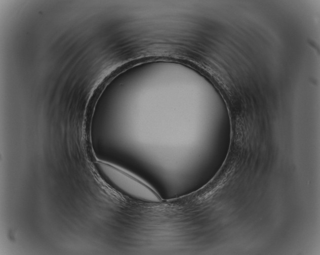 X0000097800880200803281033