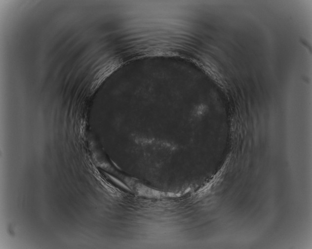 X0000097800881200803281033