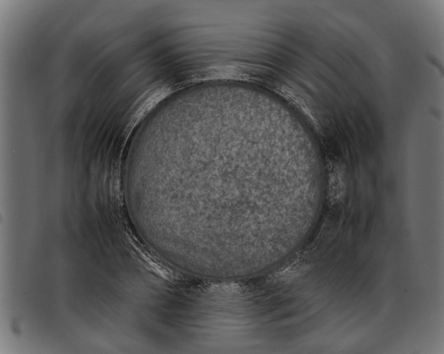 X0000097800882200803281033