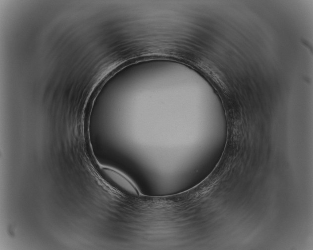 X0000097800884200803281033