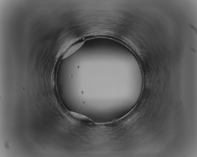 X0000097800885200803281032