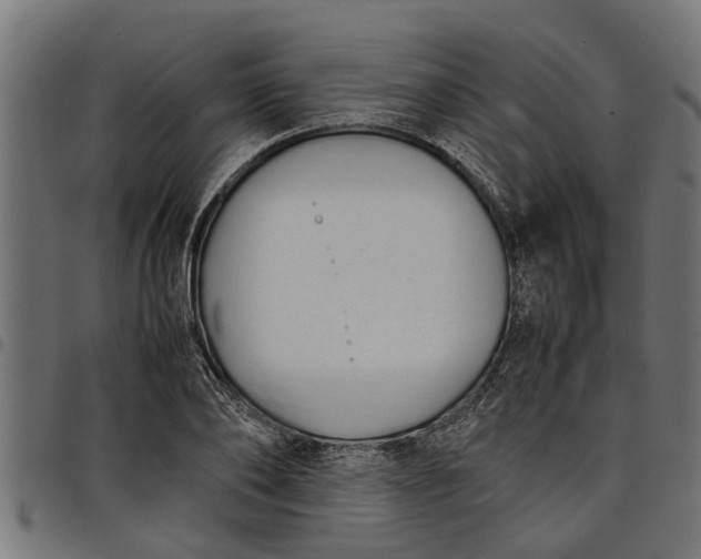 X0000097800886200803281032