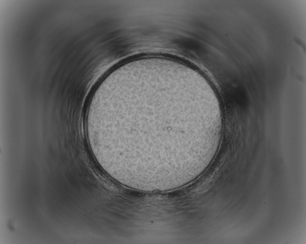 X0000097800887200803281032