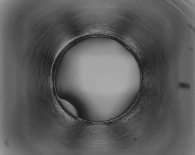 X0000097800888200803281032