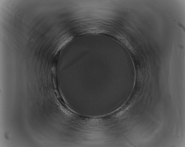 X0000097800889200803281032