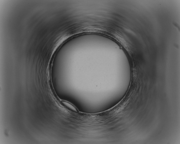 X0000097800891200803281032