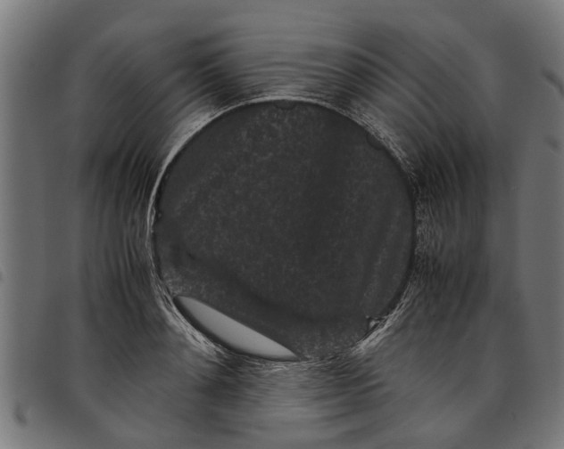 X0000097800892200803281032