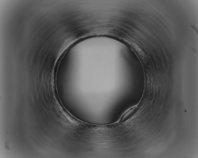 X0000097800894200803281032