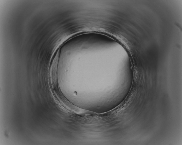 X0000097800895200803281032