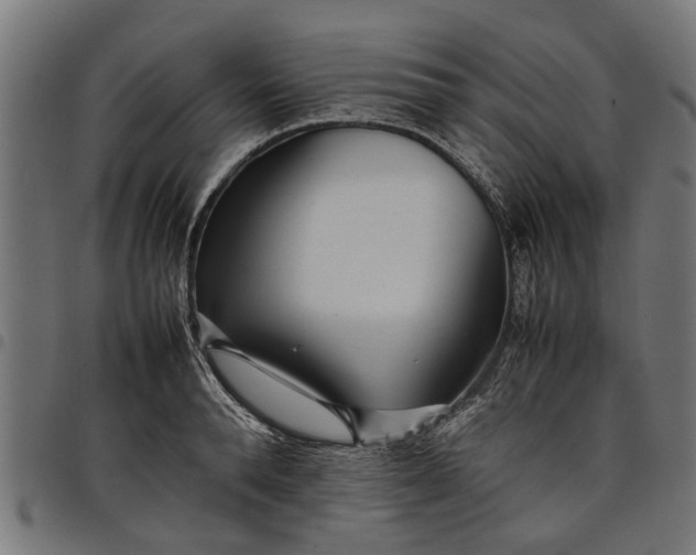 X0000097800896200803281032