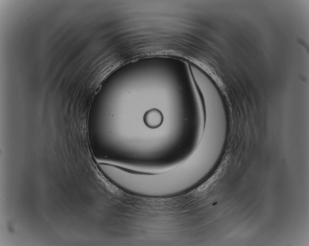 X0000097800897200803281032