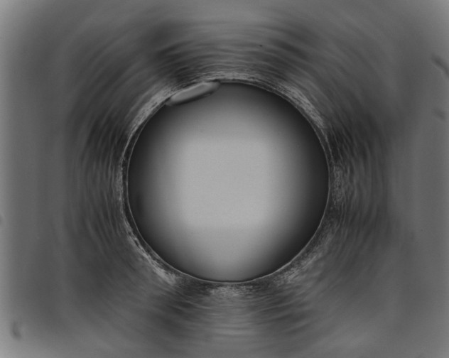 X0000097800898200803281032