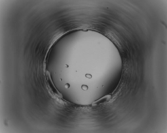 X0000097800900200803281032