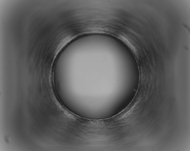 X0000097800901200803281032