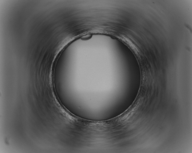 X0000097800902200803281032