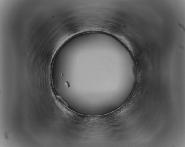 X0000097800903200803281032