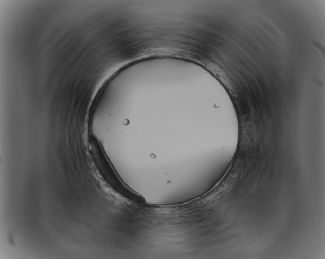 X0000097800904200803281032