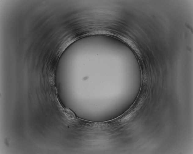 X0000097800905200803281032