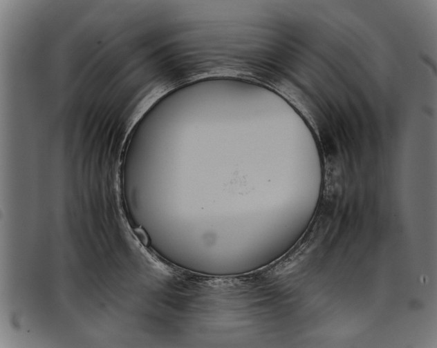 X0000097800906200803281032