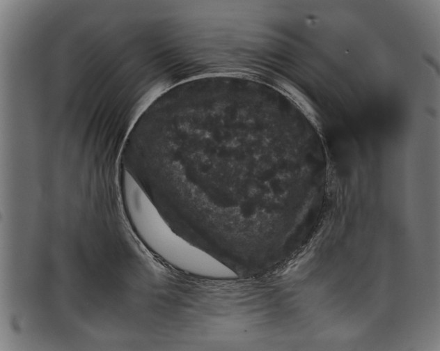 X0000097800907200803281032